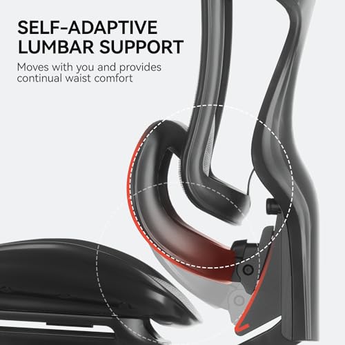 Ergonomic Office Chair with 3D Armrests, Adjustable Backrest, Grey F58990