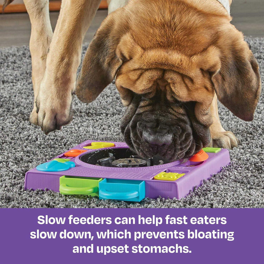 Puzzle Feeder Dog Toy K866388