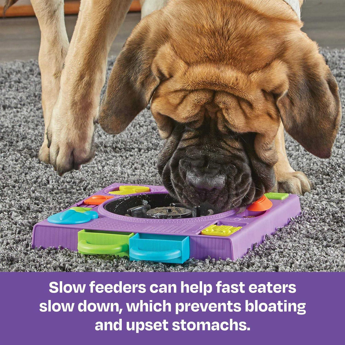 Puzzle Feeder Dog Toy K866388