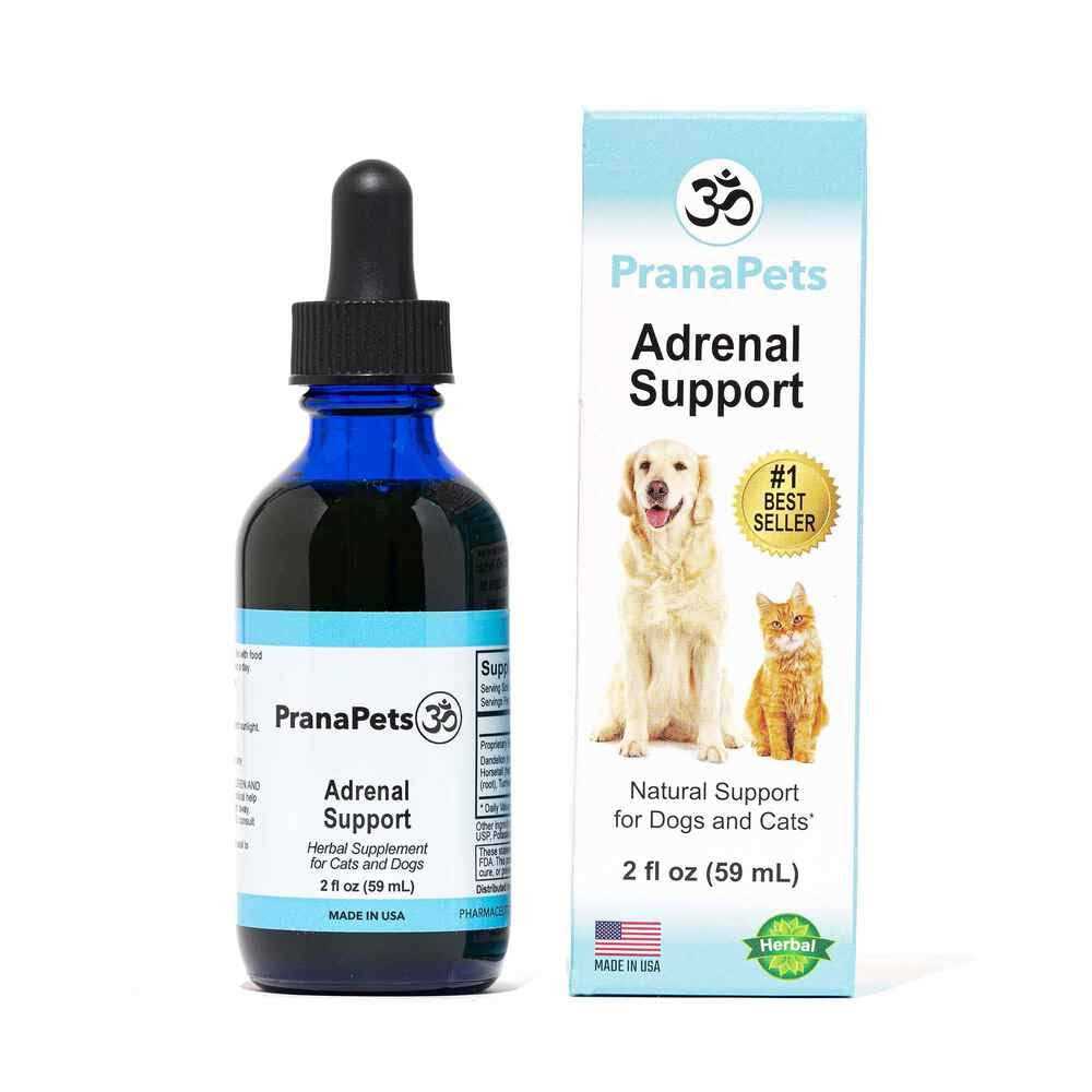 Adrenal Balance for Dogs F241