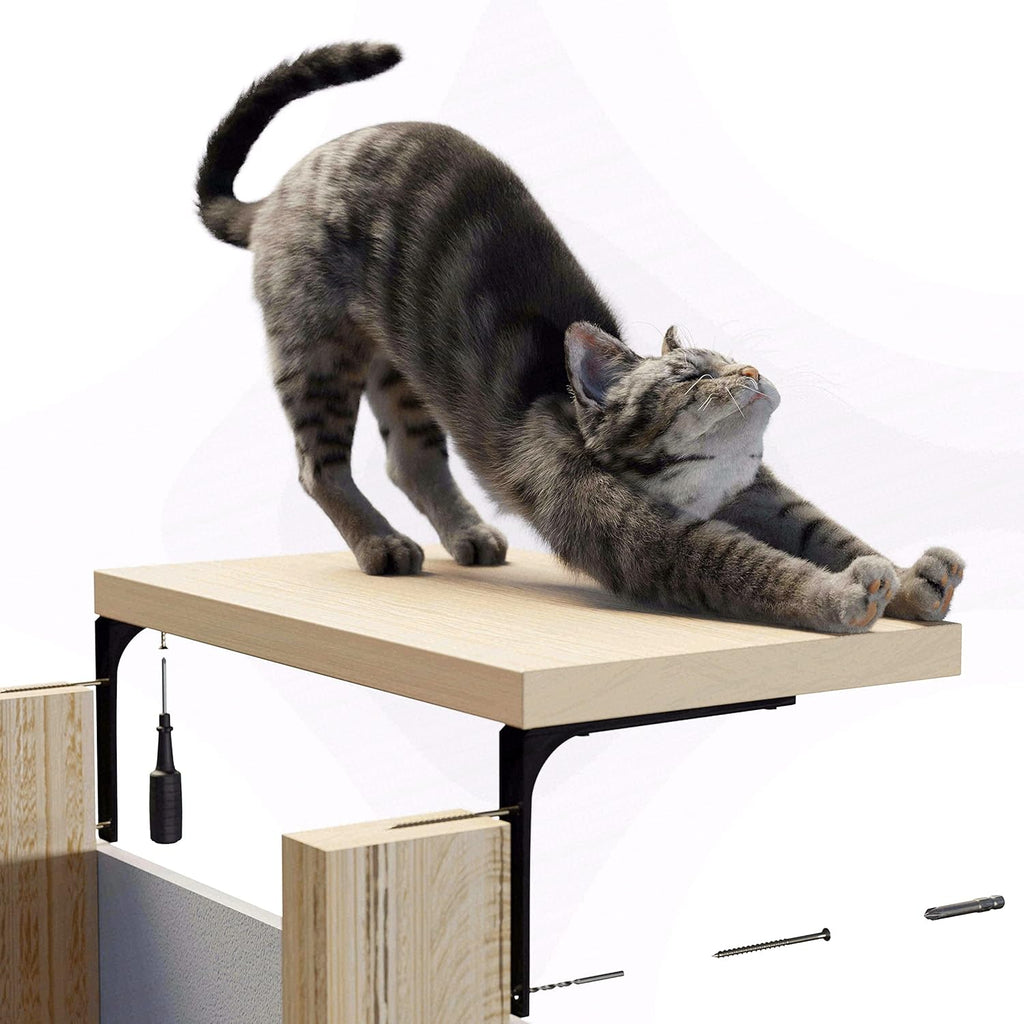 Cat Shelf Wall Furniture, 45-lb-tested-capacity, 16.75 x 10 x 1 in Wood Cat Tree, 1 pc. Z793243
