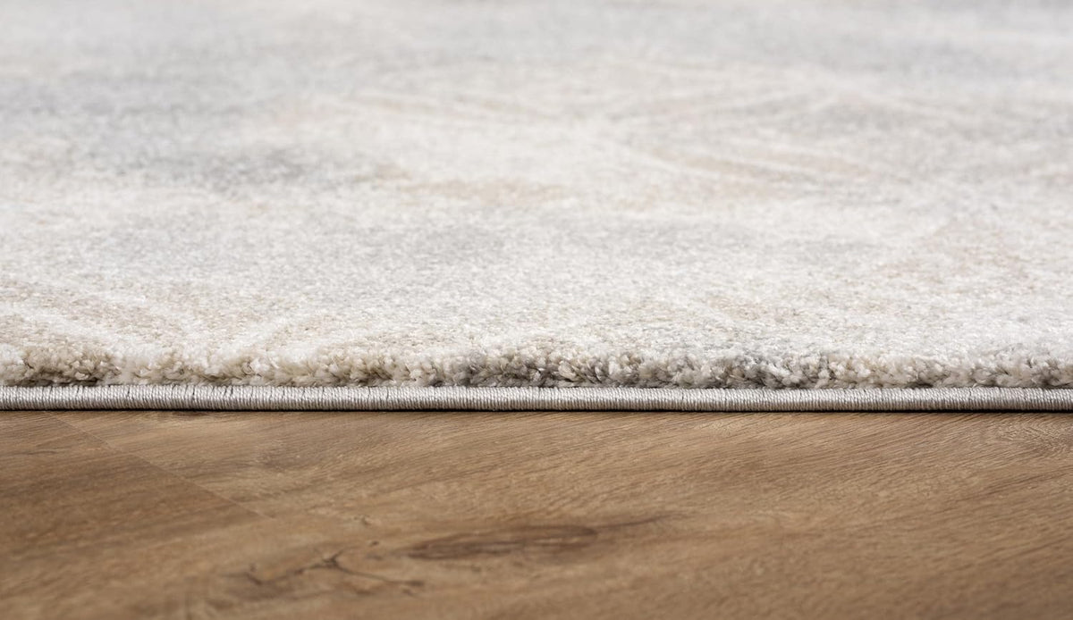 Grey Brown Plush Area Rug 4' x 6' B500858