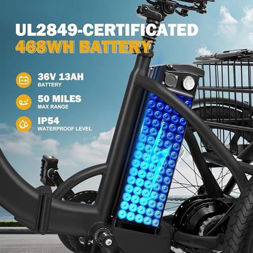 Peak 750W Brushless Motor Folding Trike Ebike with 468Wh Removable Battery Z4142
