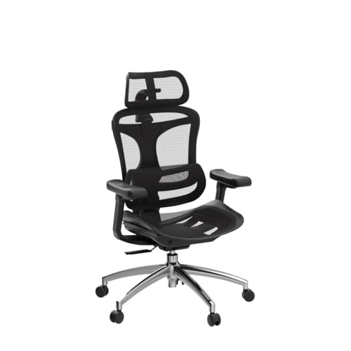Ergonomic Office Chair with 3D Armrests, Adjustable Backrest, Grey F58990