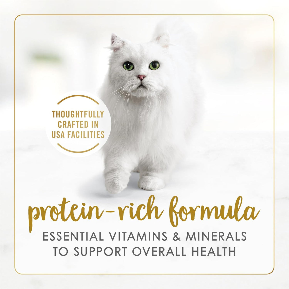 3 oz. Wet Cat Food Variety Pack V8193