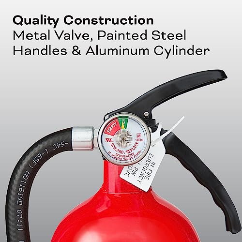 2-A:10-B:C 7.13 Lbs. Fire Extinguisher with Hose and Wall Mount H2405