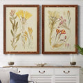 Antique Botanical Sketch IV Framed Print F17779
