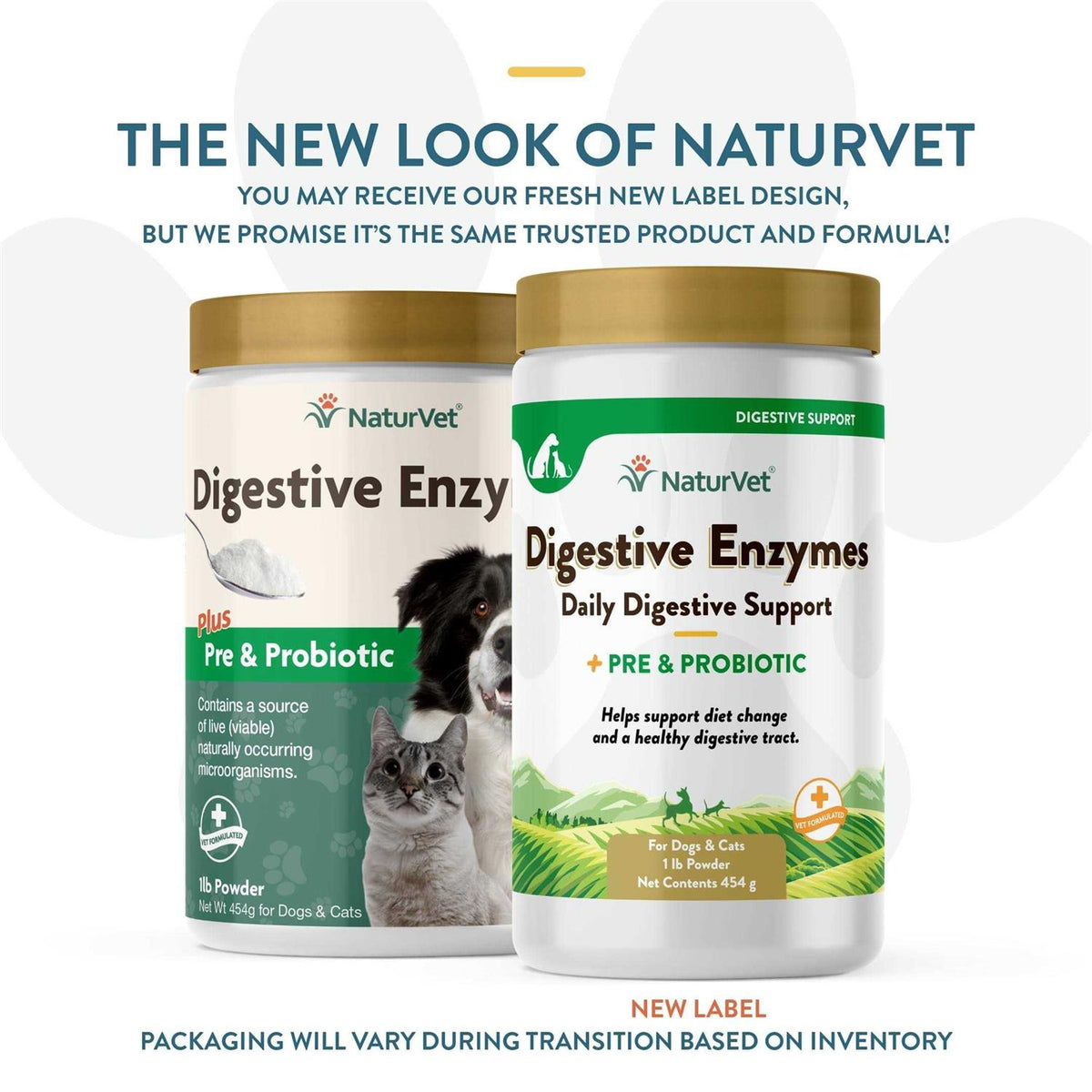 Digestive Enzymes R90481