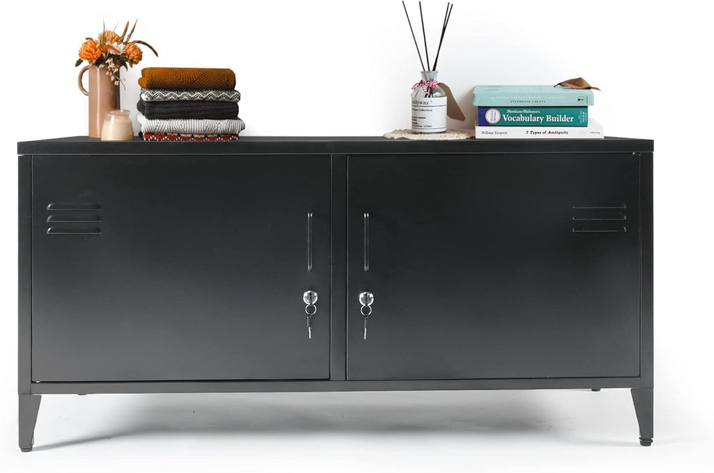 Black 2 Door Metal Storage Cabinet with 2 Shelves W6776