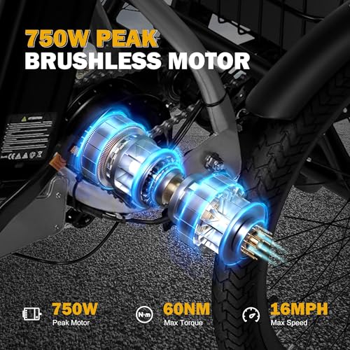 Peak 750W Brushless Motor Folding Trike Ebike with 468Wh Removable Battery Z4142