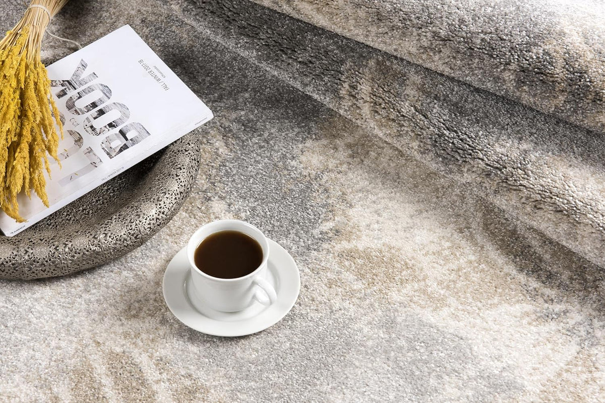 Grey Brown Plush Area Rug 4' x 6' B500858
