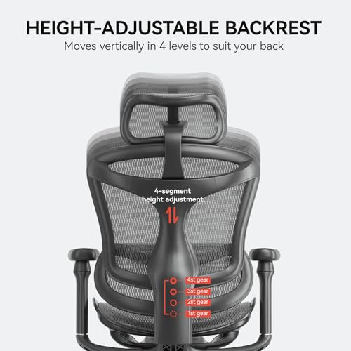Ergonomic Office Chair with 3D Armrests, Adjustable Backrest, Grey F58990