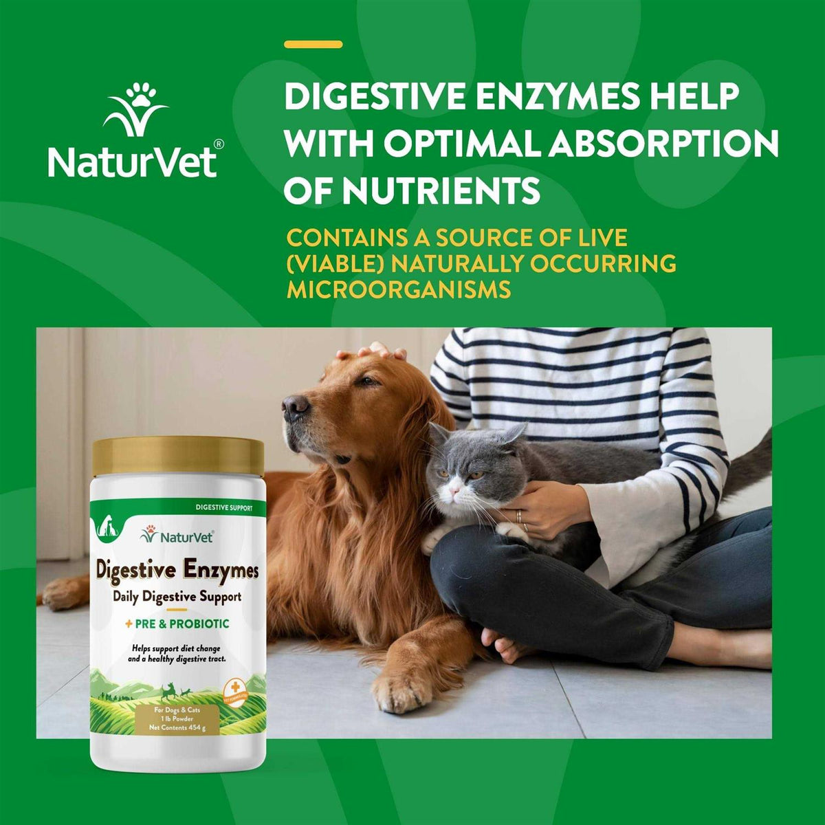 Digestive Enzymes R90481