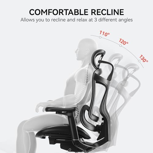 Ergonomic Office Chair with 3D Armrests, Adjustable Backrest, Grey F58990