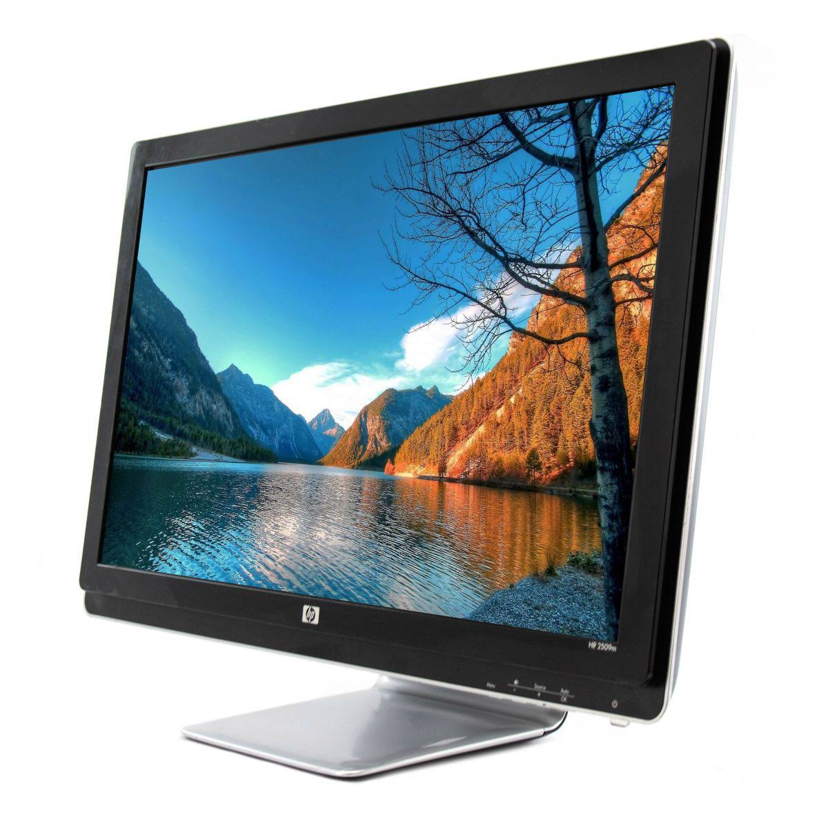 25x22 Widescreen LCD Monitor T460