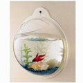 Wall Mounted Acrylic Fish Bowl U23211