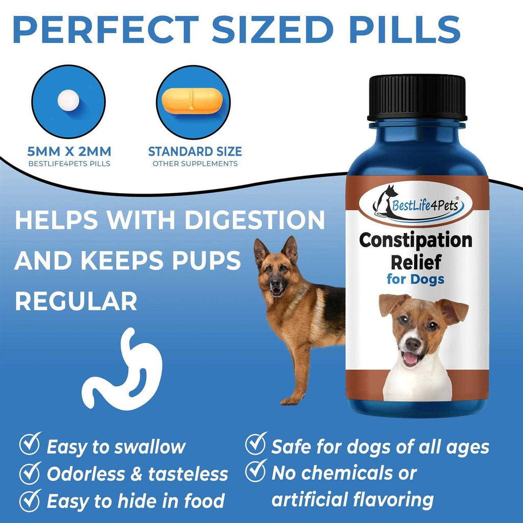 Natural Dog Laxative & Constipation Treatment X105186
