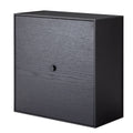 Black Stained Ash Frame Box with Door Q3270