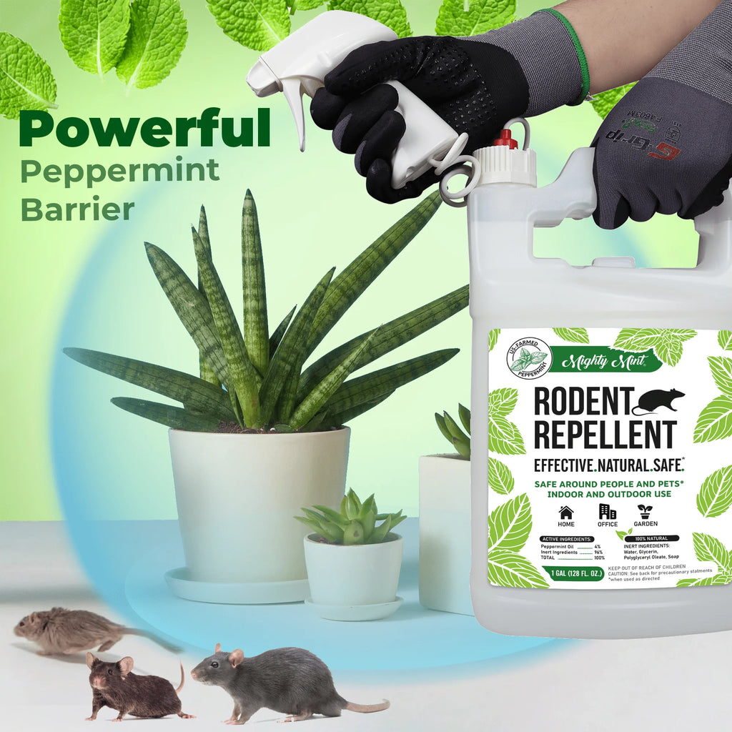 Peppermint Oil Rodent Repellent Spray O109747