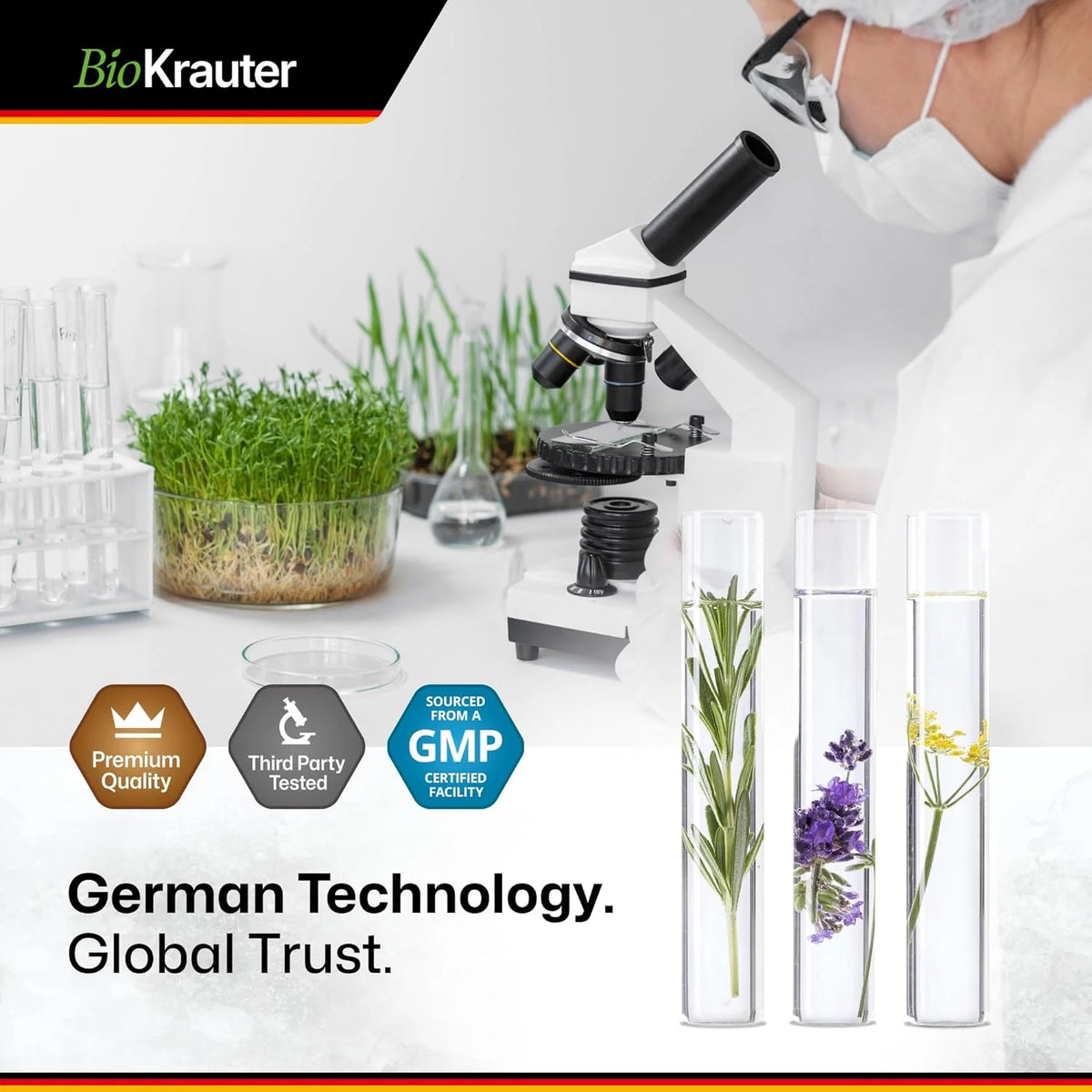 Chanca Piedra Capsules G829