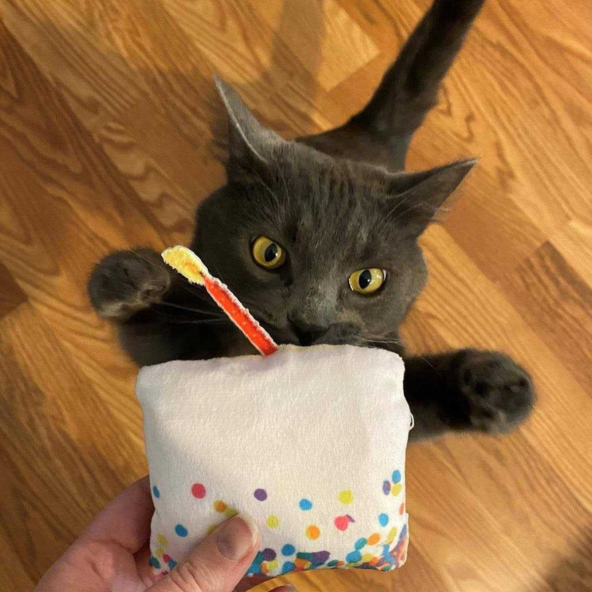 Refillable Cat Toy H266032