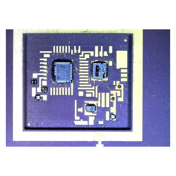 HDMI Digital Microscope Y139759