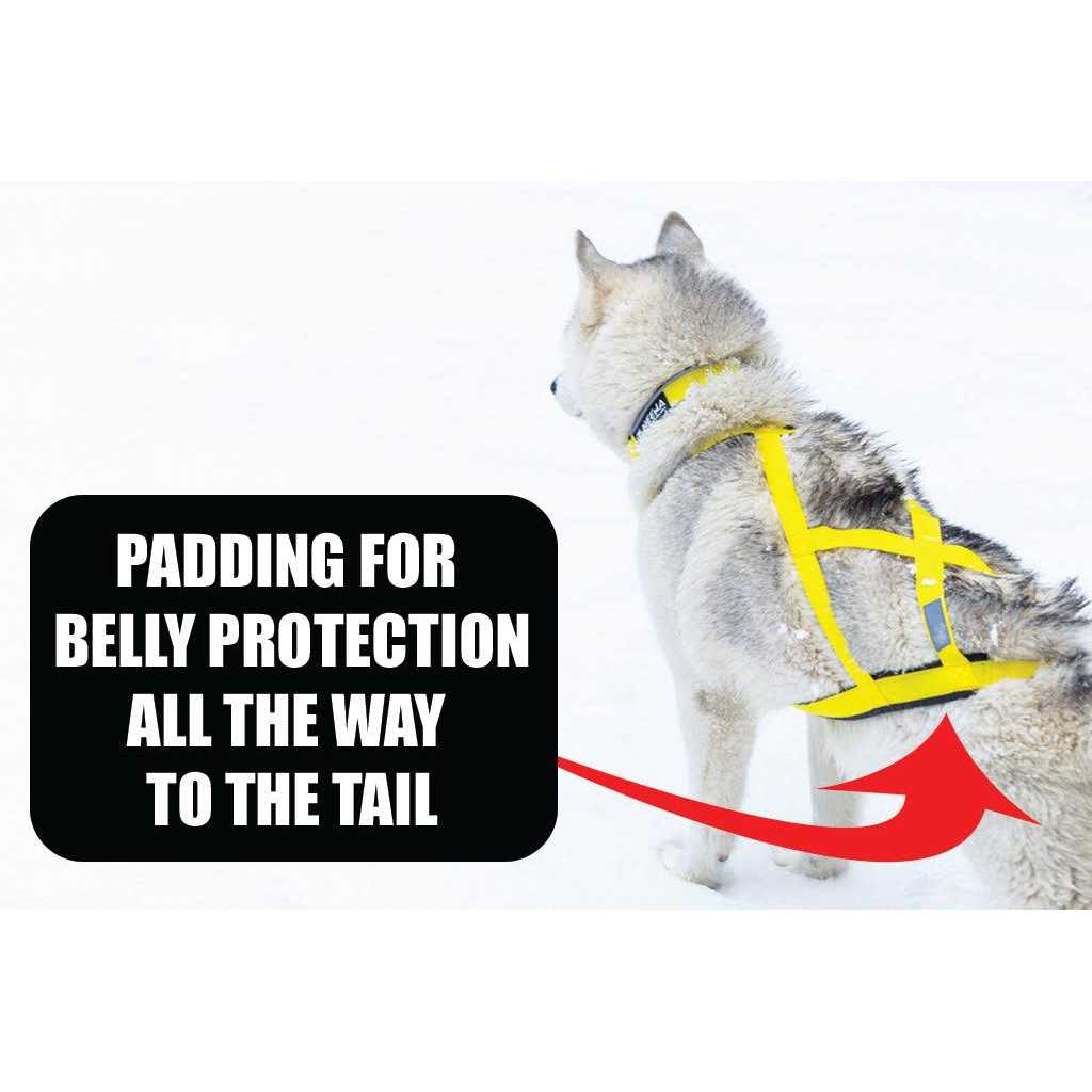 Dog Pulling Harness F742