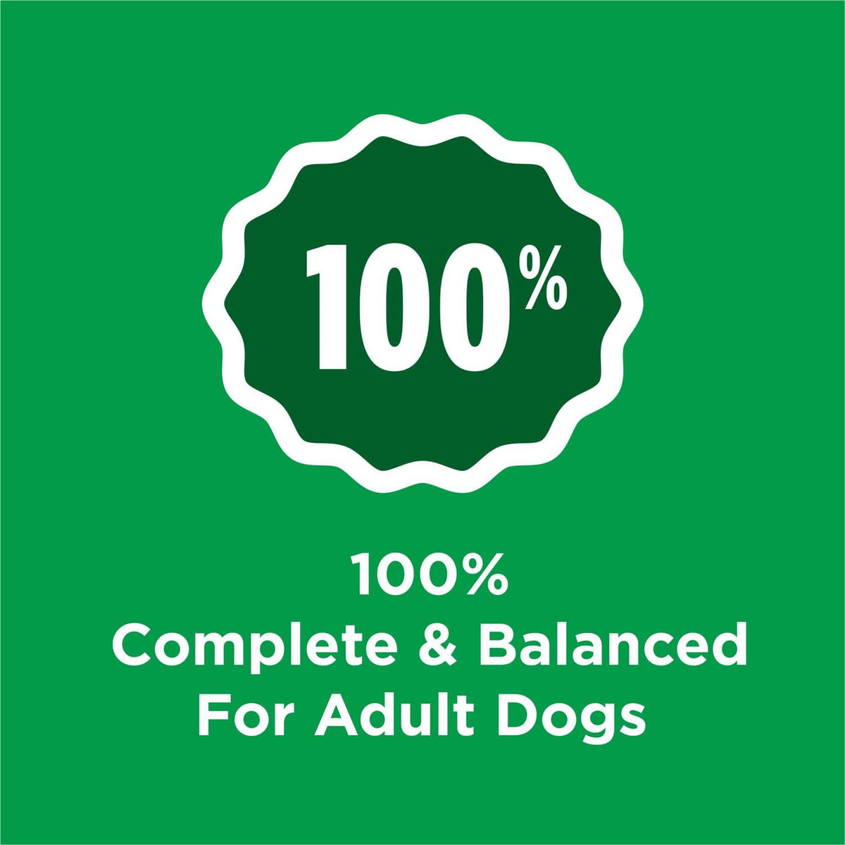 Adult Chicken Dry Dog Food G635