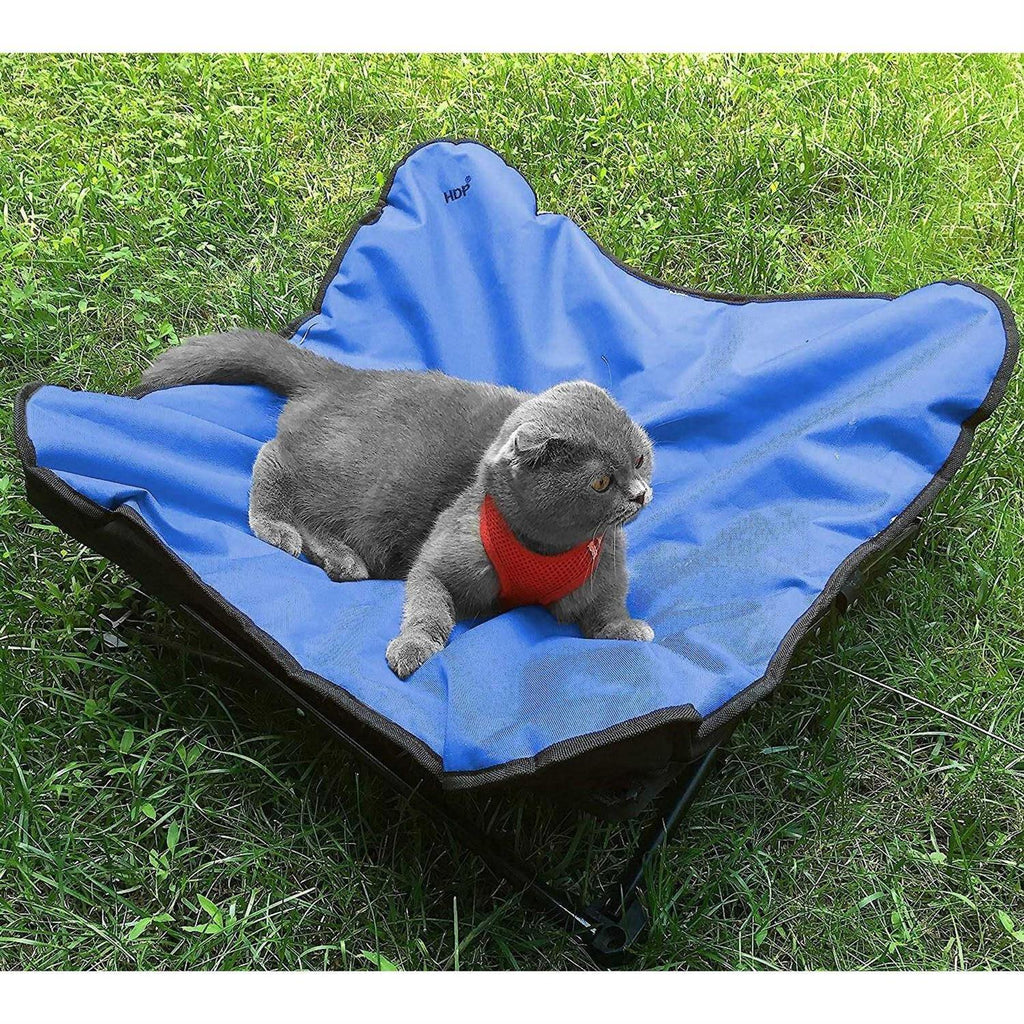 Elevated Padded Pet Bed Z2660