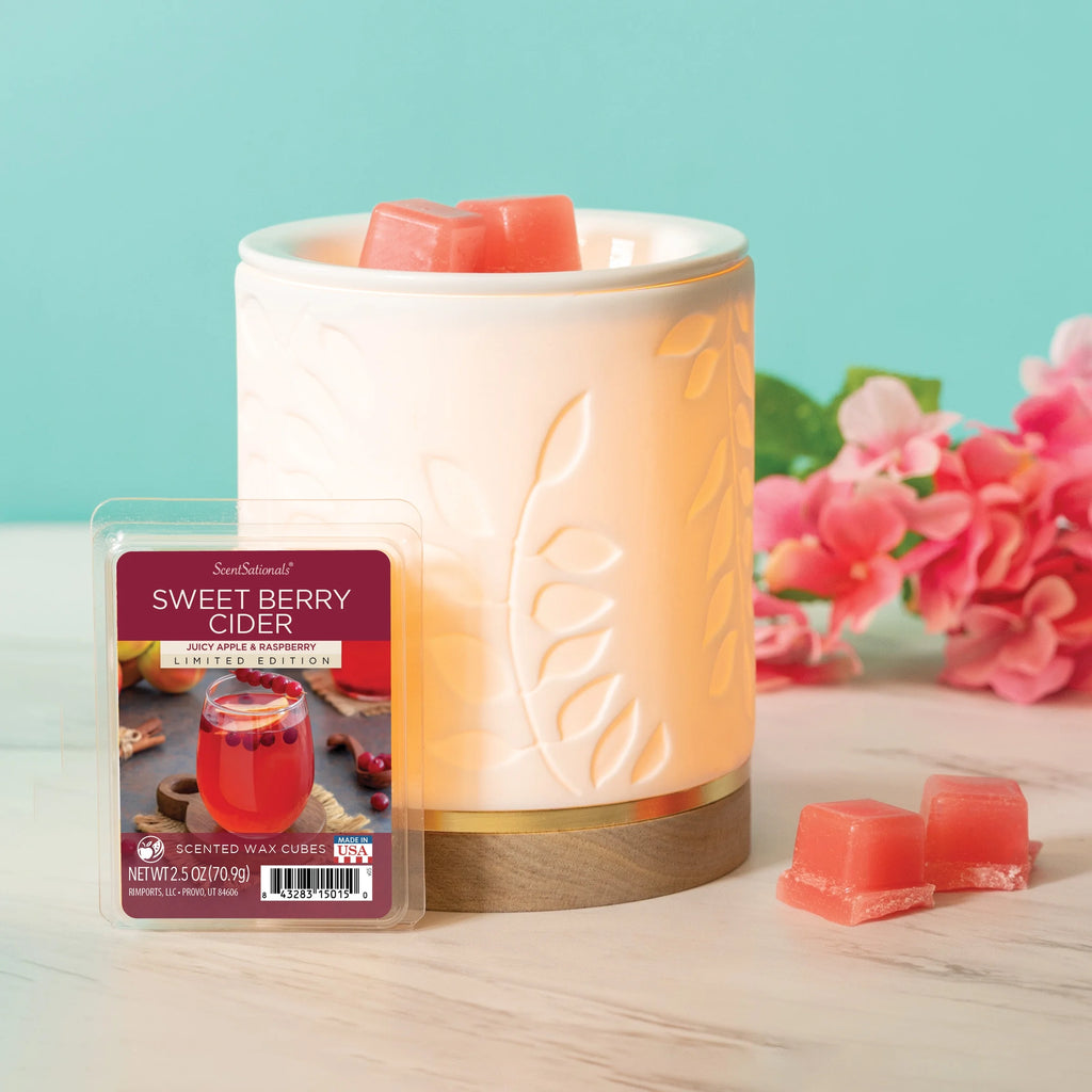 2.5 oz Scented Wax Melts R470241