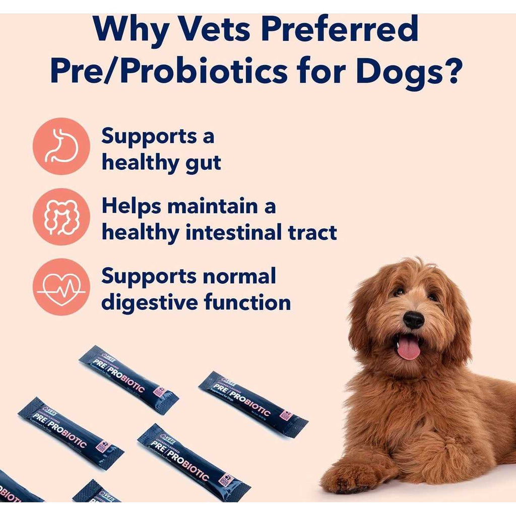 Chicken Flavored Pre-Probiotic Powder Supplement for Dogs 30 Sticks G503