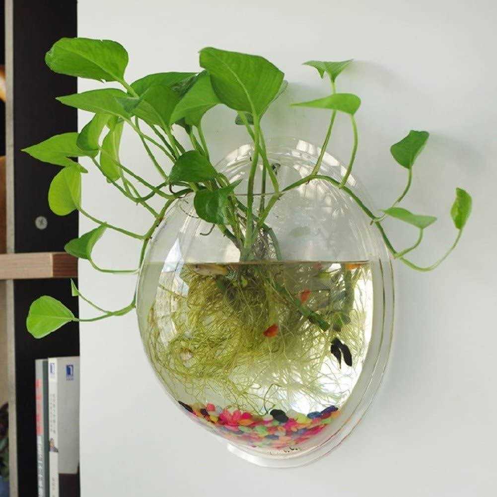 Wall Mounted Acrylic Fish Bowl U23211