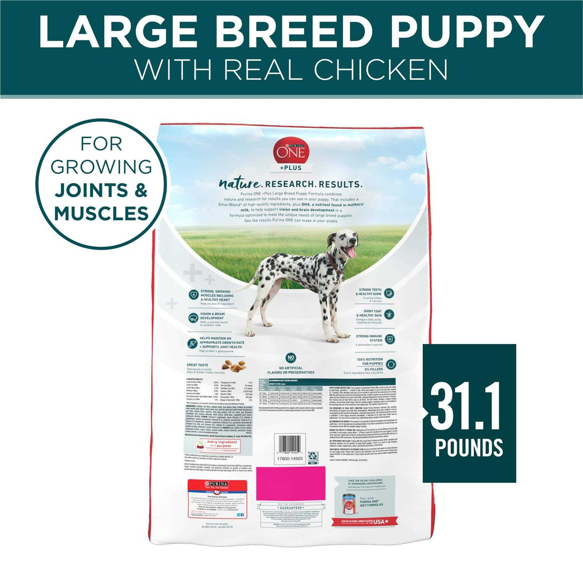 Large Breed Puppy Formula Dry Dog Food T63752