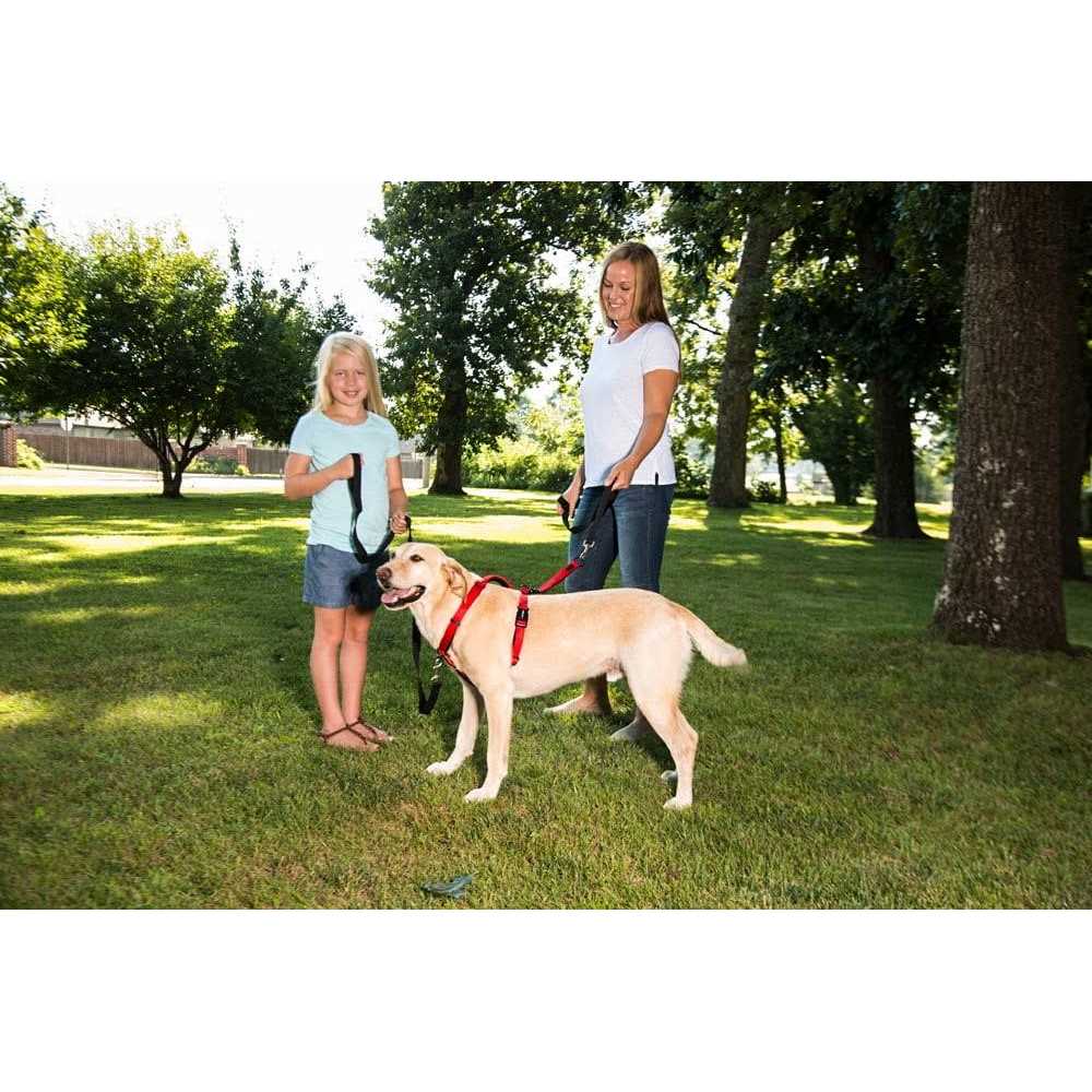 Ultimate Control Harness N2480