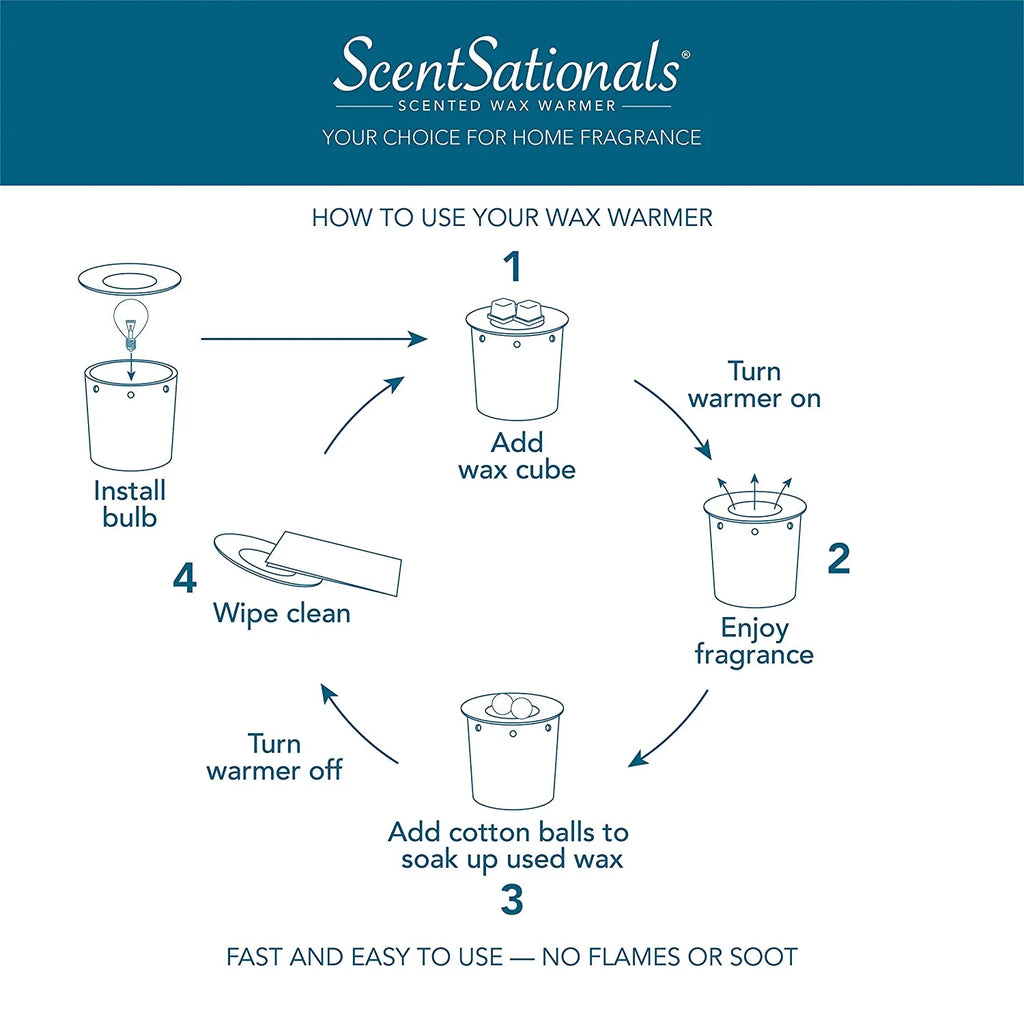 2.5 oz Scented Wax Melts R470241