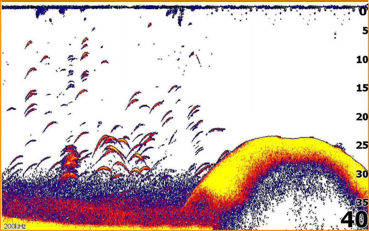 Fish finder with Down scan Imaging Q1940